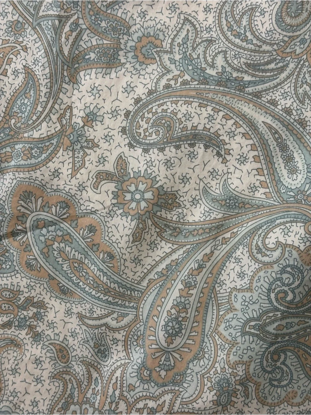 2 Harbor House Chelsea Paisley Pillow Shams Standard Teal Blue Tan Swirl Floral